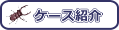 ケース紹介